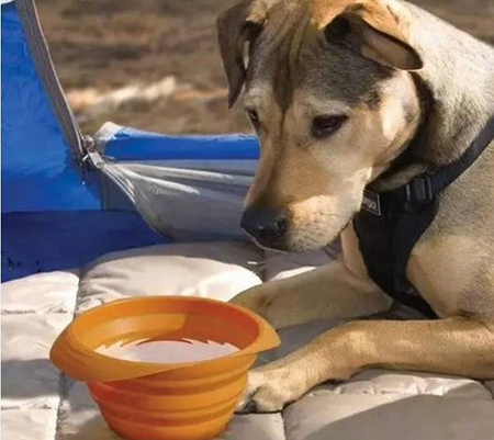 東莞<a href='http://m.yfhat.cn/' class='keys' title='點(diǎn)擊查看關(guān)于帝博硅膠制品廠的相關(guān)信息' target='_blank'>帝博硅膠制品廠</a>